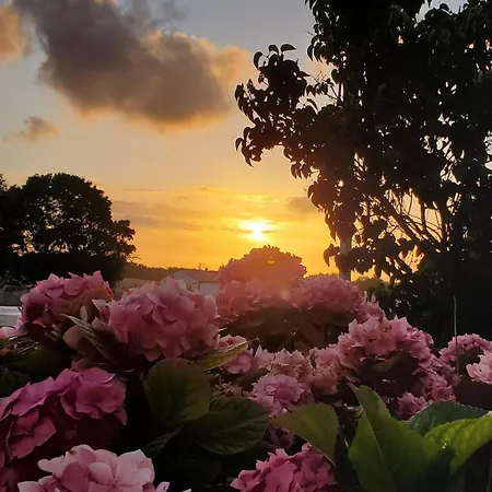 Le Logis Du Tilleul Hébergement de vacances